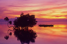 Остров Бохол (Bohol Island), Филиппины