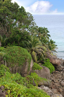 Остров Силуэт (Silhouette Island), Сейшельские острова