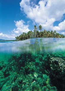 Маркизские острова, Таити