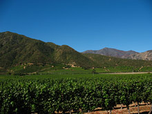 Долины виноделов, Чили