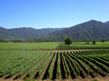 Долины виноделов, Чили