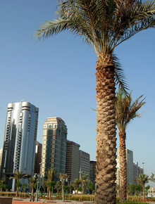 Абу-Даби, ОАЭ