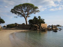 Остров Корсика, Франция