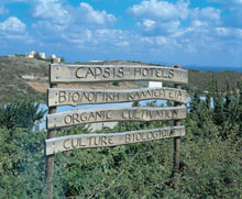 Capsis Resort Crete - Superior Bungalows
