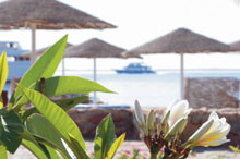 Sol Y Mar Paradise Beach Resort