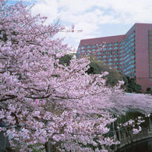 Four Seasons Hotel Tokyo at Chinzan-so