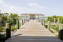 Parrot Cay