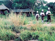 Ngala Tented Camp