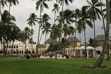 Diamonds Dream of Zanzibar