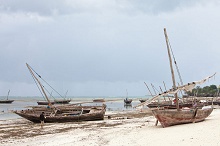 Essque Zalu Zanzibar