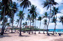 Tropical Dream Island Beach Resort (ex. Barcelo Naiboa)